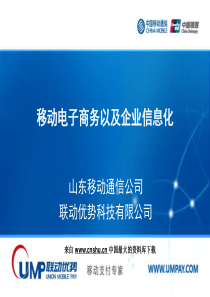 电子商务--移动电子商务以及企业信息化(PPT 59页)