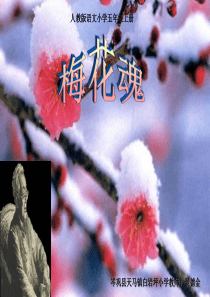 《梅花魂》课件