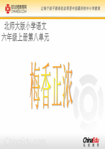 《梅香正浓》ppt课件