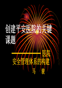 创建平安医院的关键课题-医院安全管理体系的构建PPT课件