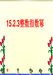 15.2.3-整数指数幂(公开课)