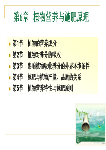 第6章  植物营养与施肥原理