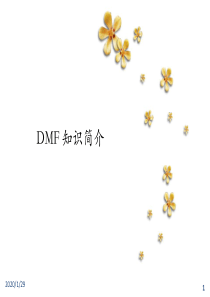 DMF简介