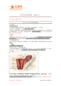 X年执业医师必考知识点(女性生殖系统)