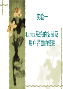 实验一 Linux系统的使用