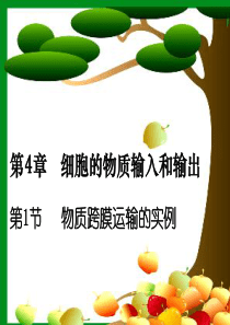 物质跨膜运输的实例 (公开课)