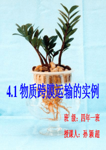 物质跨膜运输的实例公开课