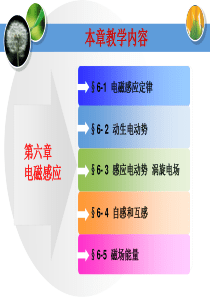 大学物理_电磁学_电磁感应2