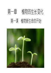 第一章   植物的生长变化