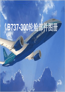 B737-300轮舱部件图