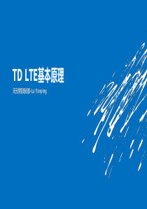 TD LTE基本原理