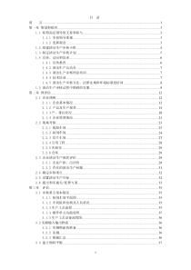 02XXX制药有限公司审核报告