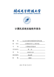 计算机系统实验软件报告