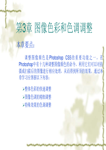 PS 图像色彩和色调调整