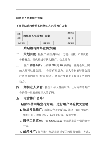 网络红人完美推广方案