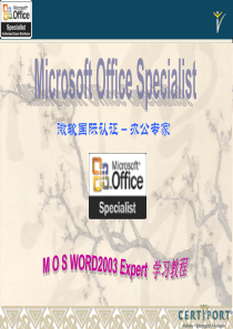 MOSWORD2003培训教材ExpertCPC20071012