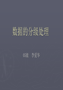 数据的分级处理