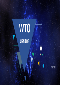 wto世界贸易组织介绍演讲ppt