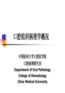 医疗知识--口腔组织病理学概况(PPT 50页)