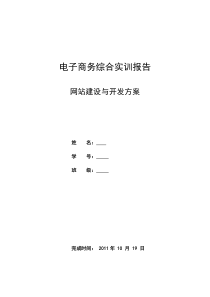 网站建设与开发方案