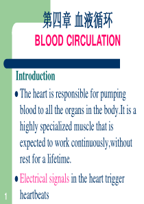 第四章 血液循环(第一节)《生理学》(双语)