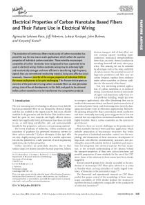 Electrical Properties of Carbon Nanotube Based Fib