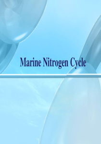 Marine N-cycle 海洋氮循环