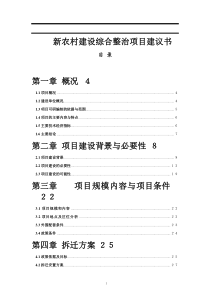 新农村建设项目可行性研究报告(完整版)