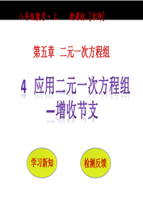 5.4《应用二元一次方程组-增收节支》ppt课件