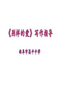 《别样的爱》写作指导