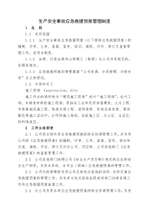 10生产安全事故应急预案管理制度DOC