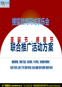 2010搜狐微博同城享乐会圣诞节.感恩节联合推广活动方案