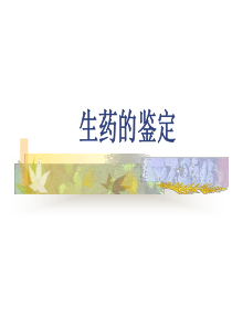 11-生药的鉴定