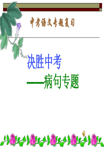 2015中考语文复习修改病句专题课件(经典)