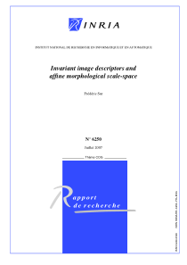 Invariant image descriptors and affine morphologic