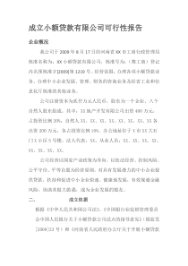 成立小额贷款有限公司可行性报告