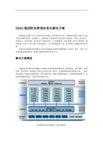 XXEAS集团财务管理信息化解决方案（DOC 8)