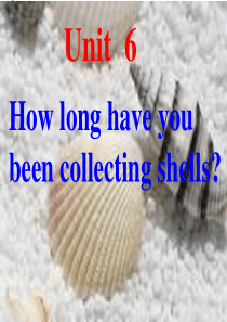 unit6 how long have you been collecting shells