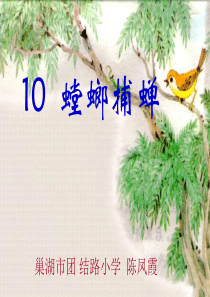 10.《螳螂捕蝉》PPT课件