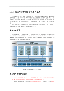 XXEAS集团财务管理信息化解决方案（DOC7）(1)