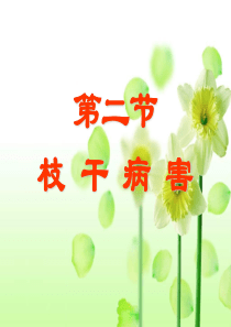 第五章章 第二节   枝干病害