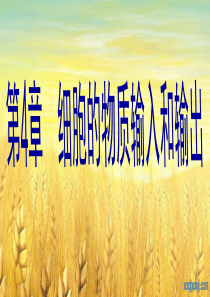 物质跨膜运输的实例课件(含动画)