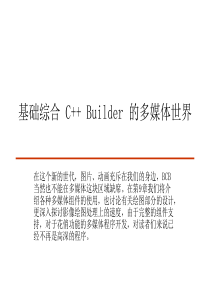 C++ Builder 的多媒体世界9