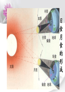 初中物理透镜及原理PPT