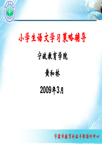 小学生语文学习策略辅导宁波教育学院黄和林2009年3月.