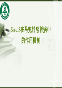 smad3在马兜铃酸肾病中的作用机制