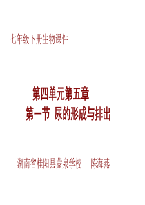 七年级下生物课件    尿的形成与排出(一)