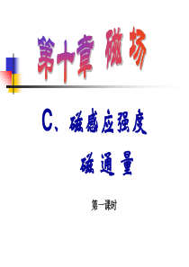 C、磁感应强度、磁通量