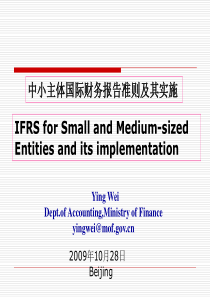 中小主体国际财务报告准则及其实施