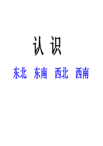 认识东北、东南、西北、西南四个方向ppt